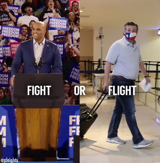 RealDemsOfTexas's tweet photo. Send a fighter to Washington.
 Vote Colin Allred for US Senator.  
@ColinAllredTX @RepColinAllred https://t.co/Yz4ZLYzp7I