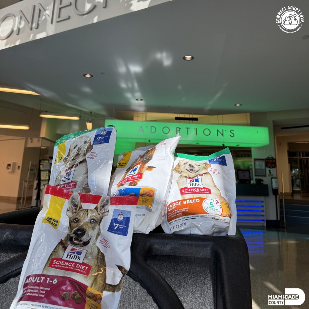 AdoptMiamiPets's tweet photo. A huge thank you to @doralvet for their generous donation of pet food for our shelter pets!
We are so grateful for their support and for the impact it will have on the lives of our animals.
#gratitudesunday #hillspartner https://t.co/XhW8dsy7Pb