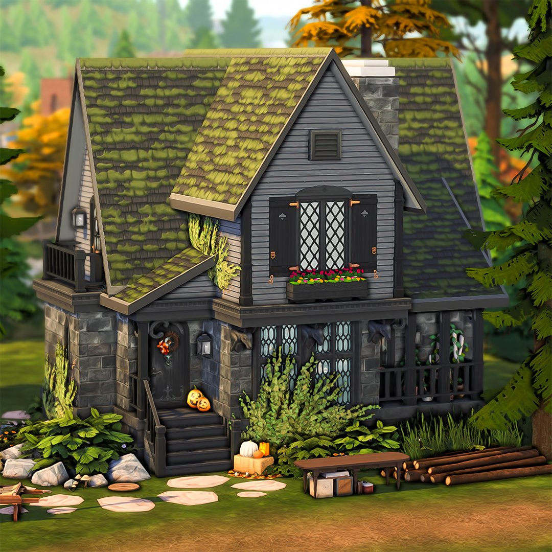 May 🐻 tweet media