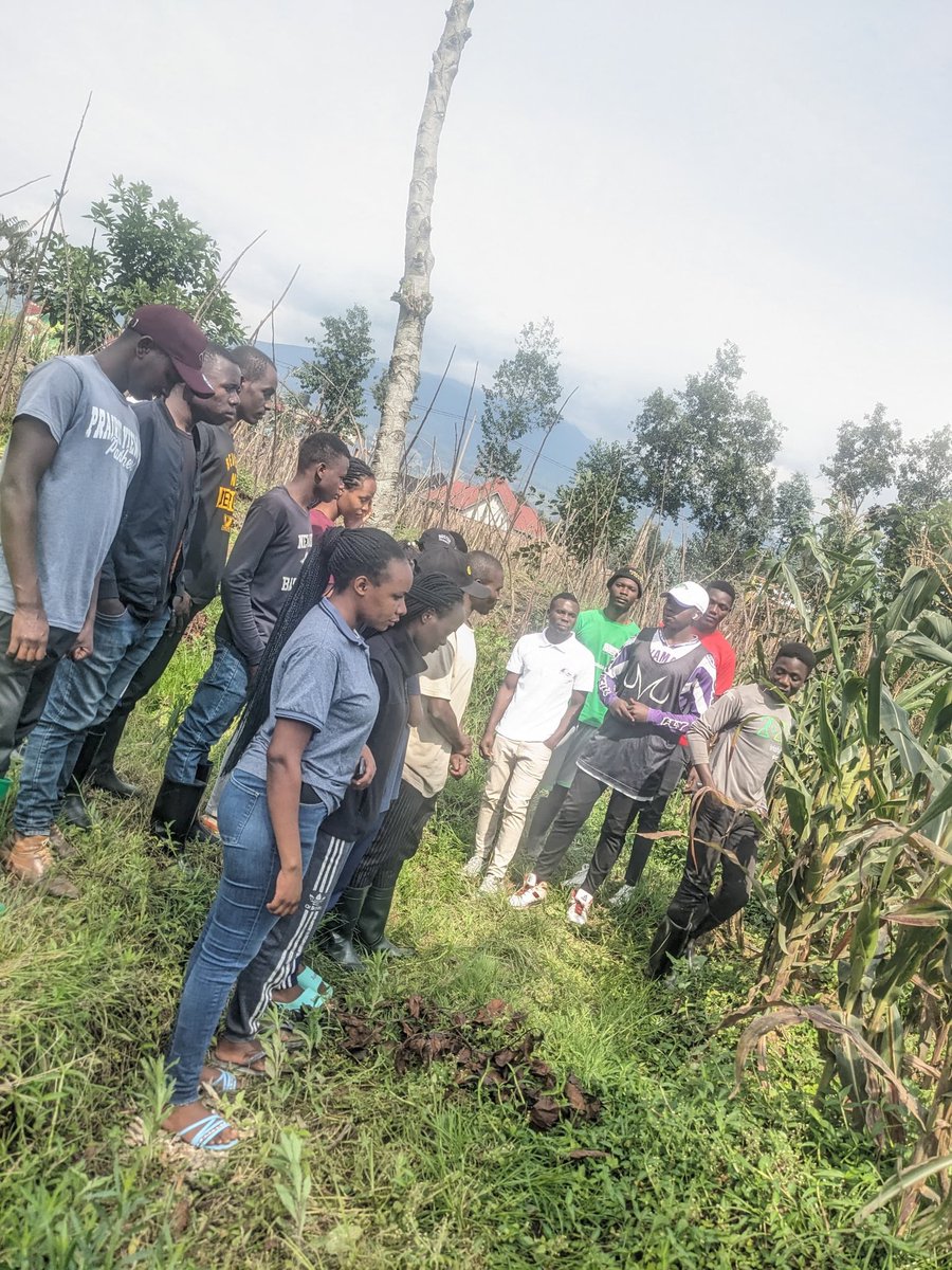 #Yesterday was a fantastic day for our club members! We dove deeper into #Integrated Pest Management (IPM), focusing on its essential components: prevention, monitoring, and intervention. These strategies empower farmers to boost #production and achieve stable, dependable yields.