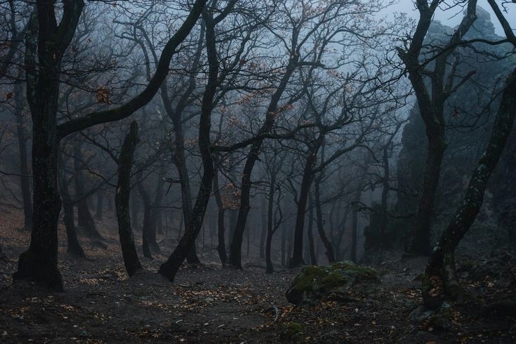 gloom.