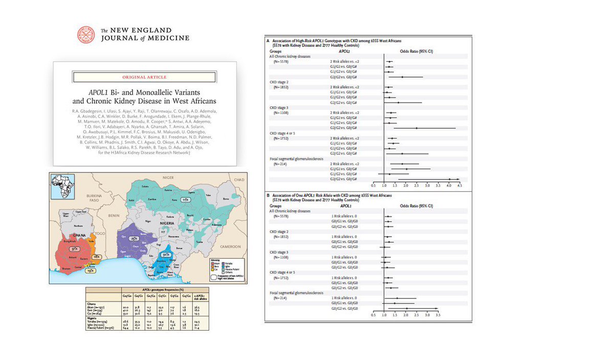 BU/BMC Section of Nephrology (@bu_bmc_renal) on Twitter photo Honored to highlight Late breaking clinical trial <a href="/ASNKidney/">American Society of Nephrology</a> #kidneyweek2024 and <a href="/NEJM/">NEJM</a> paper from <a href="/GbadegesinLab/">Gbadegesin Lab</a> and #H3AfricaKDRN.
We congratulate <a href="/ilori_titi/">titi ilori</a> on her collaborative work on this landmark paper advancing the understanding of #APOL1 mediated kidney disease. Honored to highlight Late breaking clinical trial <a href="/ASNKidney/">American Society of Nephrology</a> #kidneyweek2024 and <a href="/NEJM/">NEJM</a> paper from <a href="/GbadegesinLab/">Gbadegesin Lab</a> and #H3AfricaKDRN.
We congratulate <a href="/ilori_titi/">titi ilori</a> on her collaborative work on this landmark paper advancing the understanding of #APOL1 mediated kidney disease.