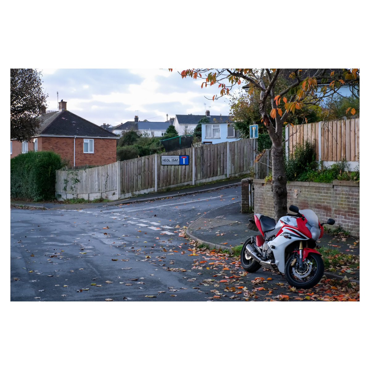 fwyalchen's tweet image. 27/10/2024 – Fifth Ave. / Heol Isaf

#penparcau #aberystwyth #ceredigion #canolbarthcymru #midwales #cymru #wales