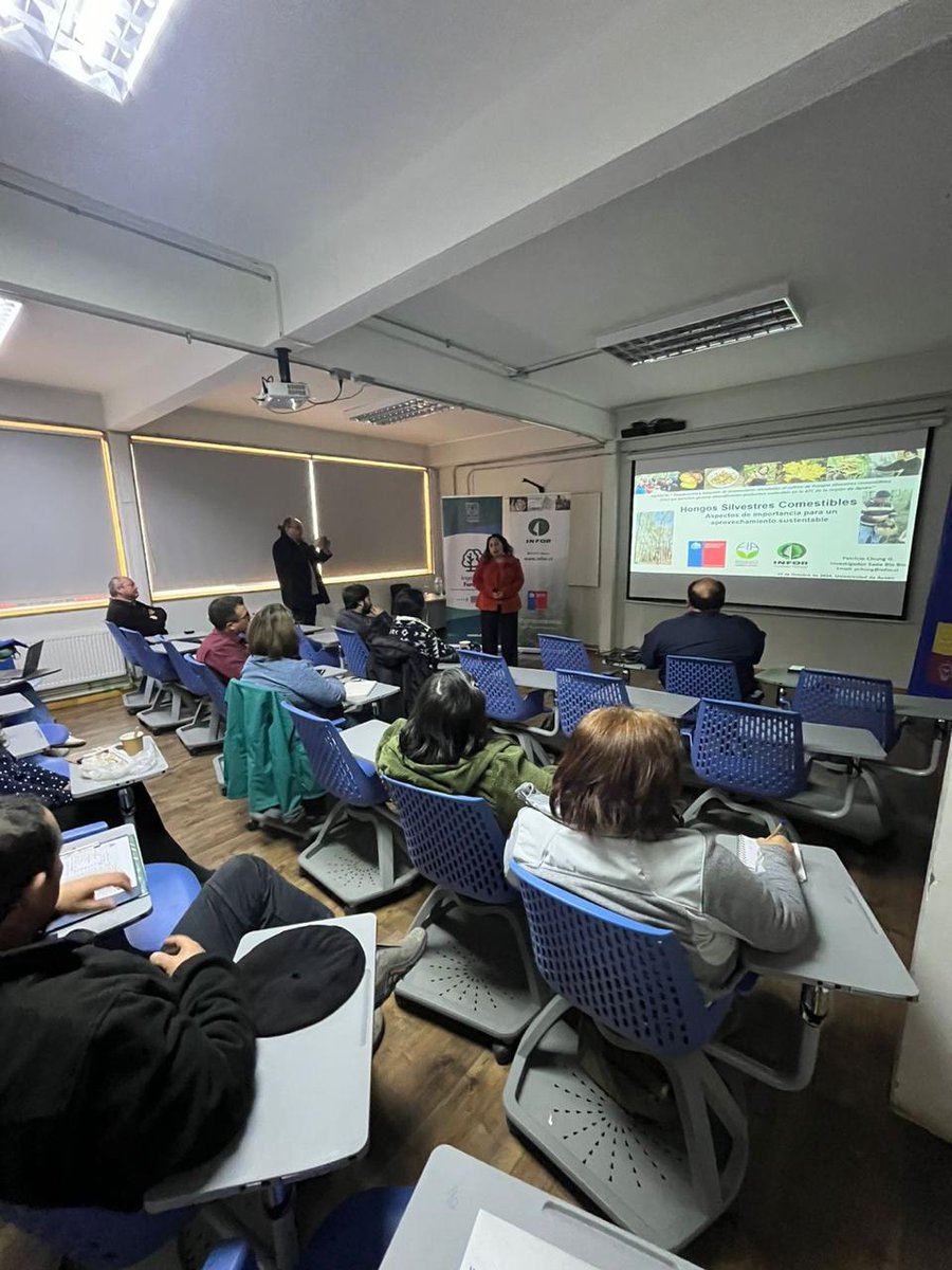 Instituto Forestal tweet media
