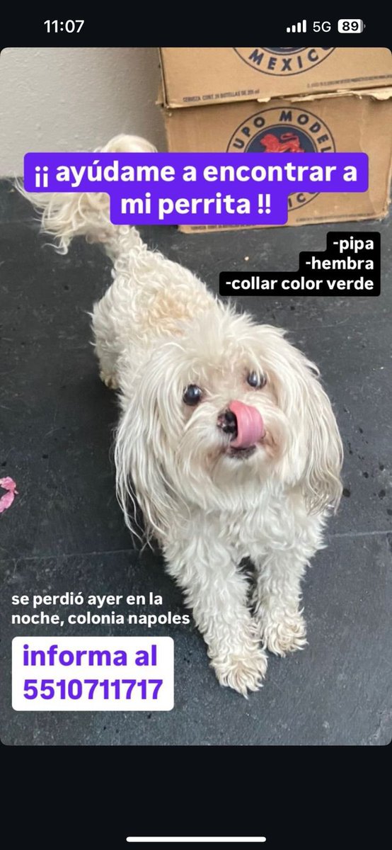tetunga's tweet photo. Ayuda @En_laDelValle https://t.co/1WX8Z3qMTe