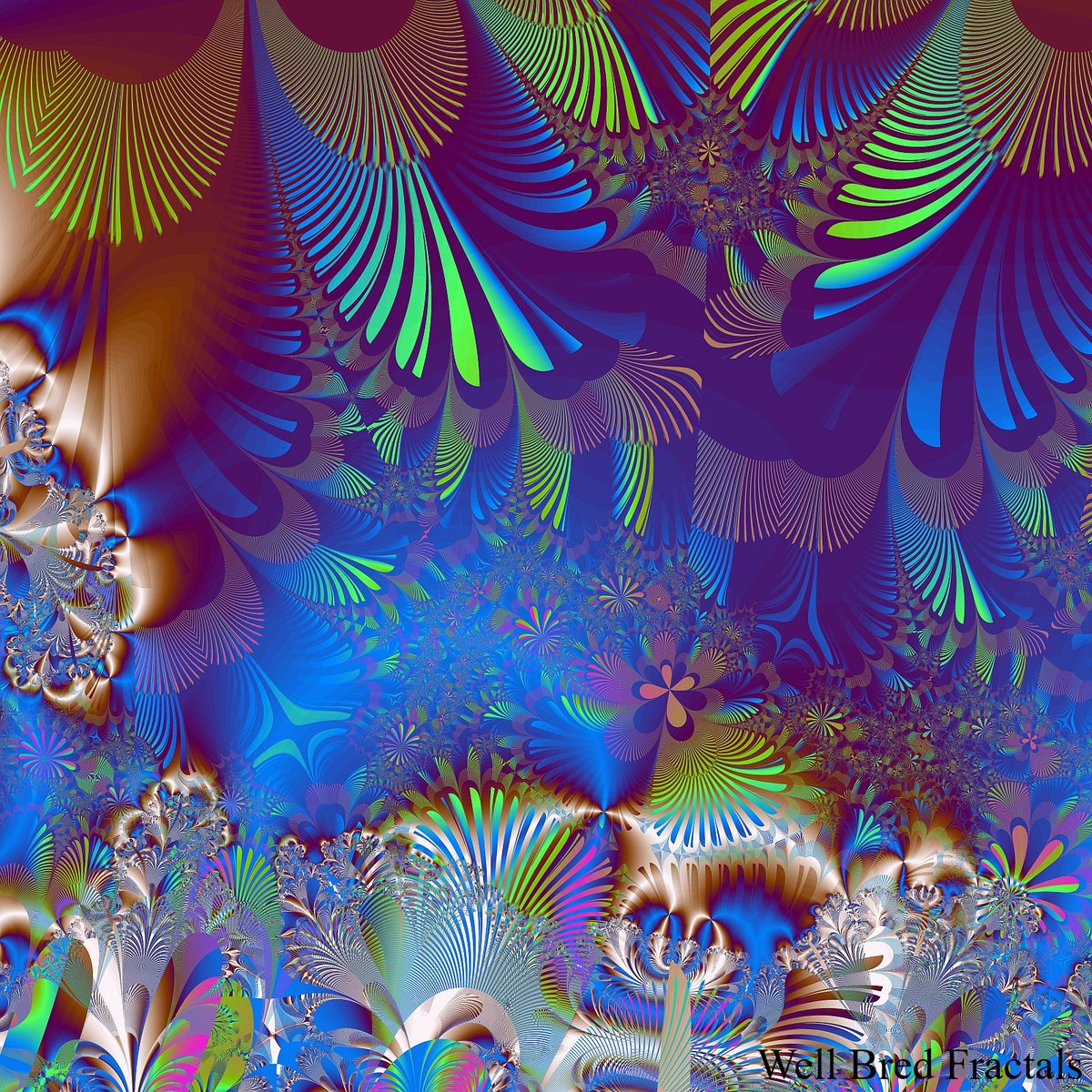 fractalsteve's tweet photo. I've teamed up with the fine people at Kingston Frameworks and we will soon be offering a selection of extremely fine quality giclée Well Bred Fractals prints in various sizes, as well as some other products. There will be 50 square and 50 panoramic fractals to choose from. https://t.co/sw9LxrD6wt