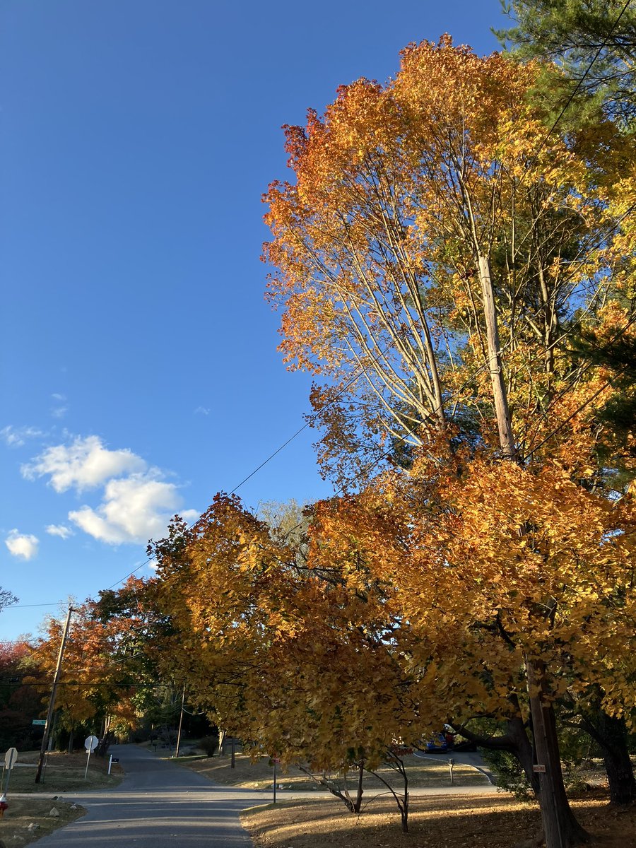 Let this beautiful fall vista remind you to exercise your right to VOTE!

NY early voting is open until Nov. 3
elections.ny.gov/early-voting

Find your polling place here:
voterlookup.elections.ny.gov