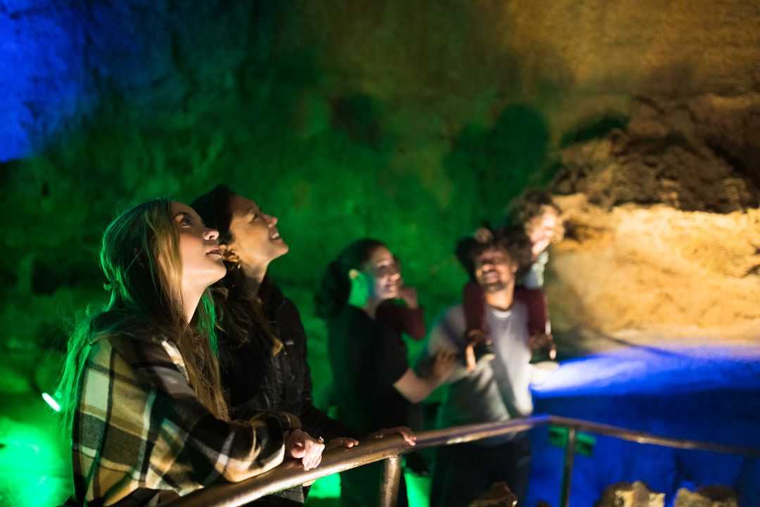 Never forget to look up! You might miss something incredible 🤩 

📍Ruby Falls Cave