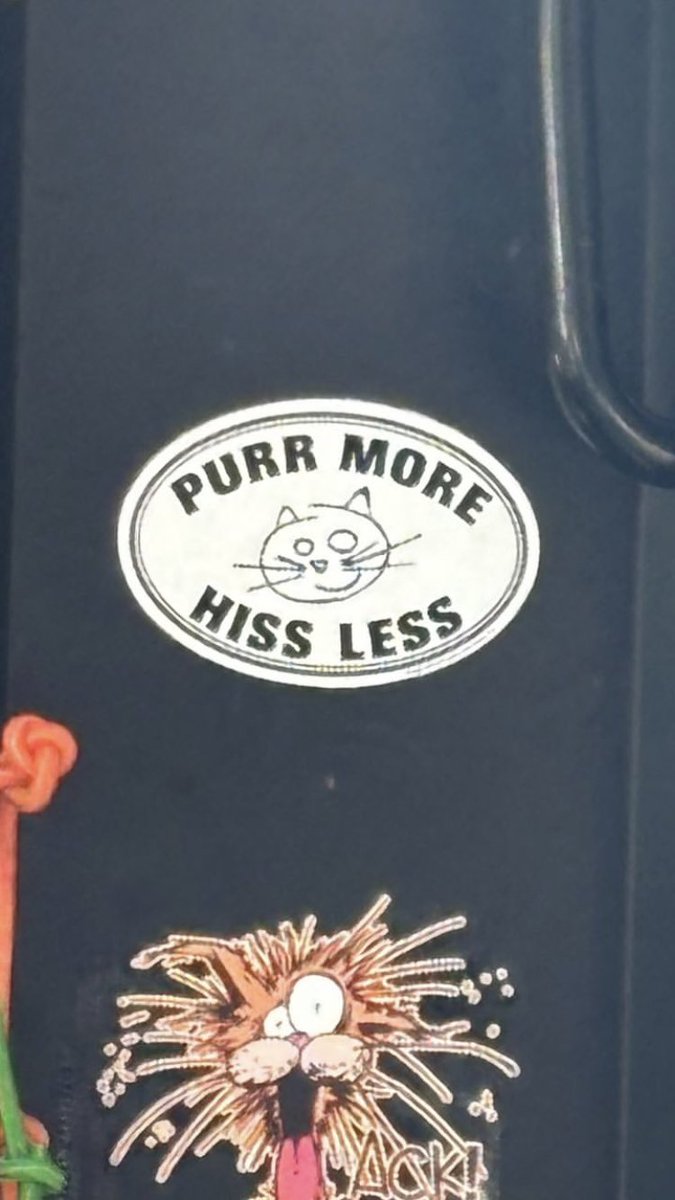 RubyRoseTBrasil's tweet image. Ruby Rose Turner via stories Instagram