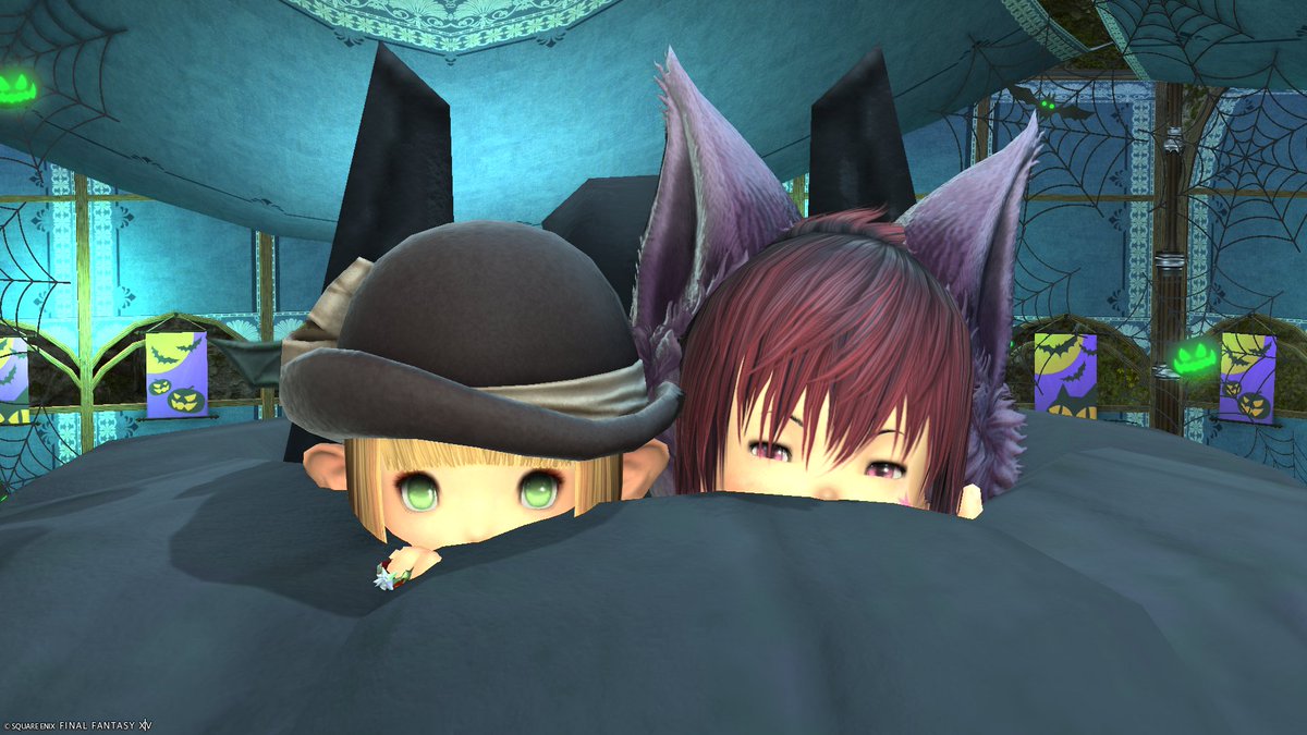 NaoFF144's tweet photo. メインクエ:黄金のレガシーやっとエンディングみれた★

◆手伝ってくれたゼロﾁｬと
◆◆音楽堂の門の上で
◆やげんﾁｬ初挑戦なのにあっさり登ってきてﾋﾞｯｸﾘ‼

( *´艸｀)楽しかった★ありがと

#FF14　＃ガル鯖 https://t.co/Jb8EjALGr1
