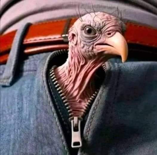 Üç yıl  daha  yaşarsa püskevit'in son hâli...!!!