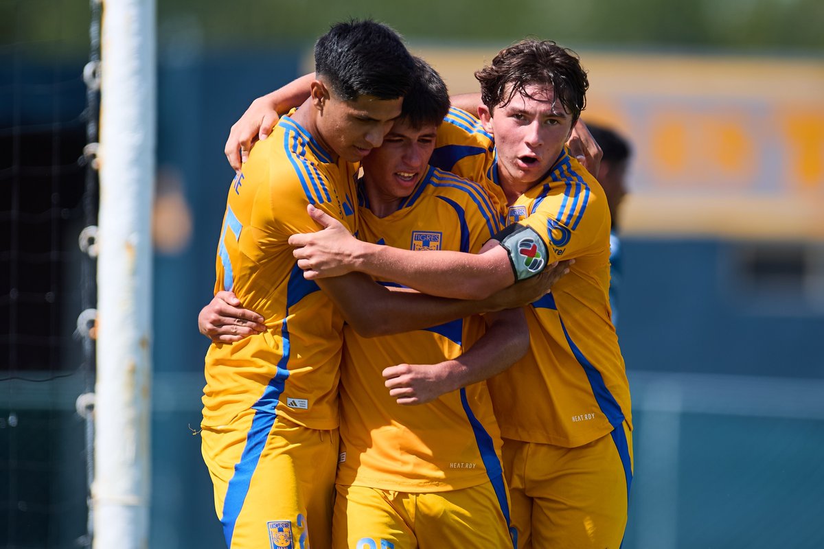 TigresOficial's tweet photo. 💪🏼🐯 ¡Vamos los Tigres! ➕3⃣
 
Tigres 2-1 Pachuca ✅
Tigres Sub 23 4-0 Pachuca ✅
Tigres Sub 19 2-0 Pachuca ✅ https://t.co/o5zosfA1nH