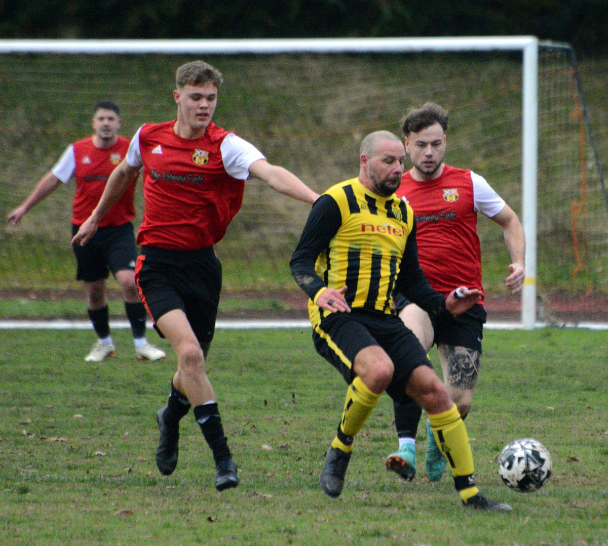 Stephen Lang tweet media