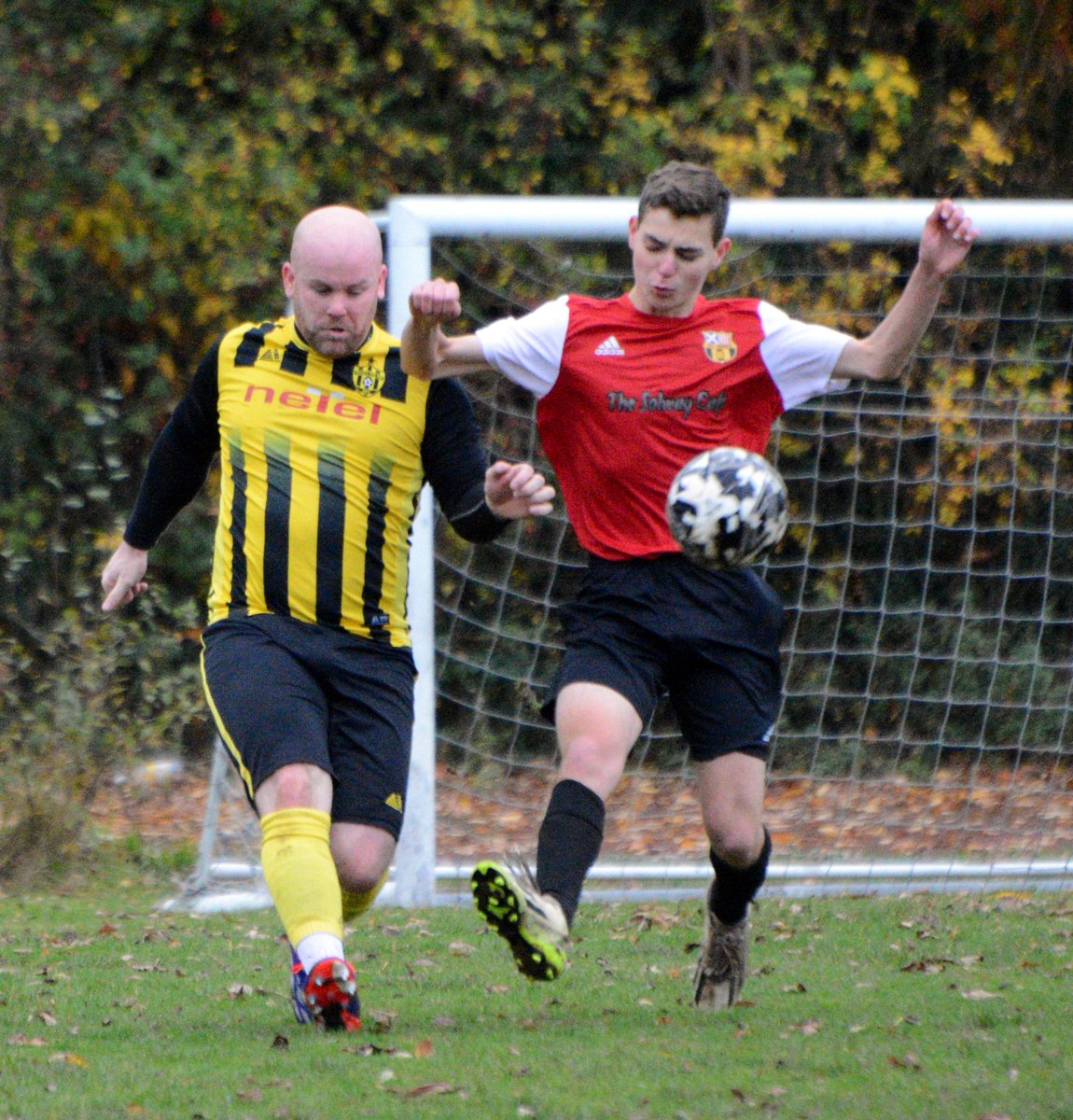 Stephen Lang tweet media