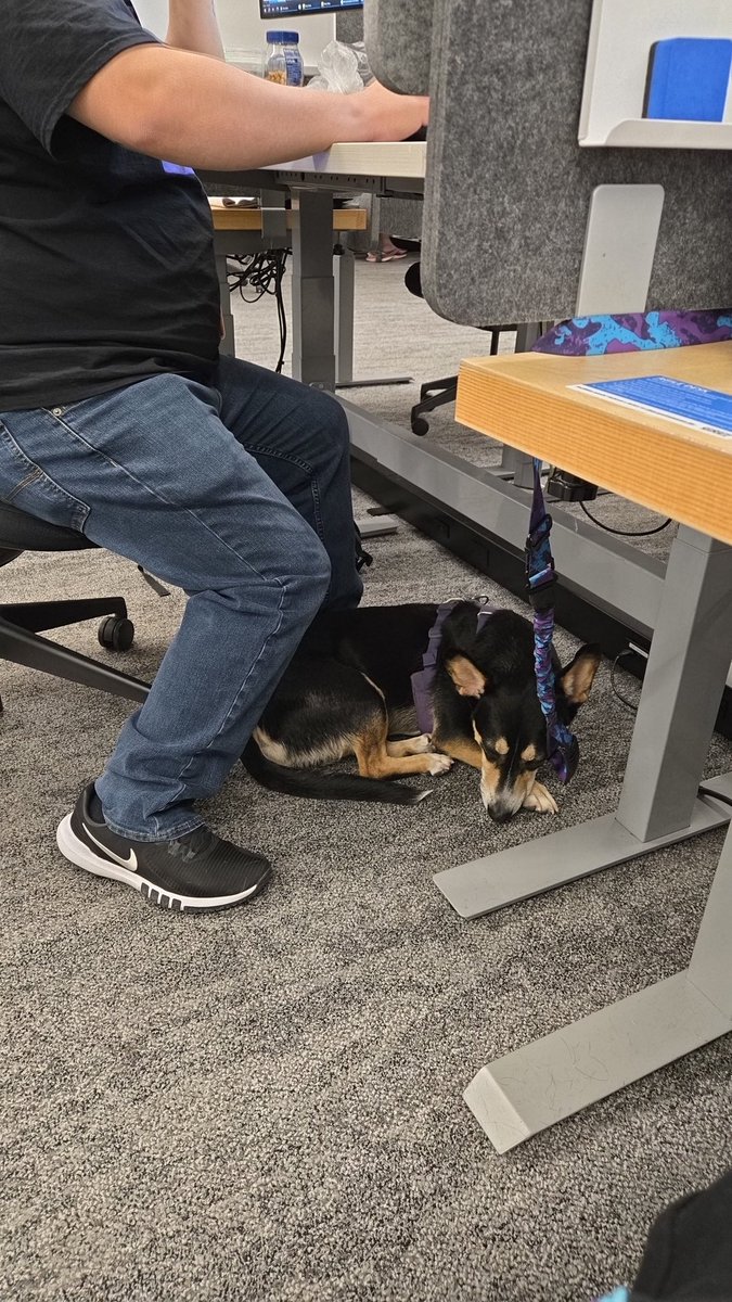 TheChartech's tweet image. Luka hanging out with everyone but me