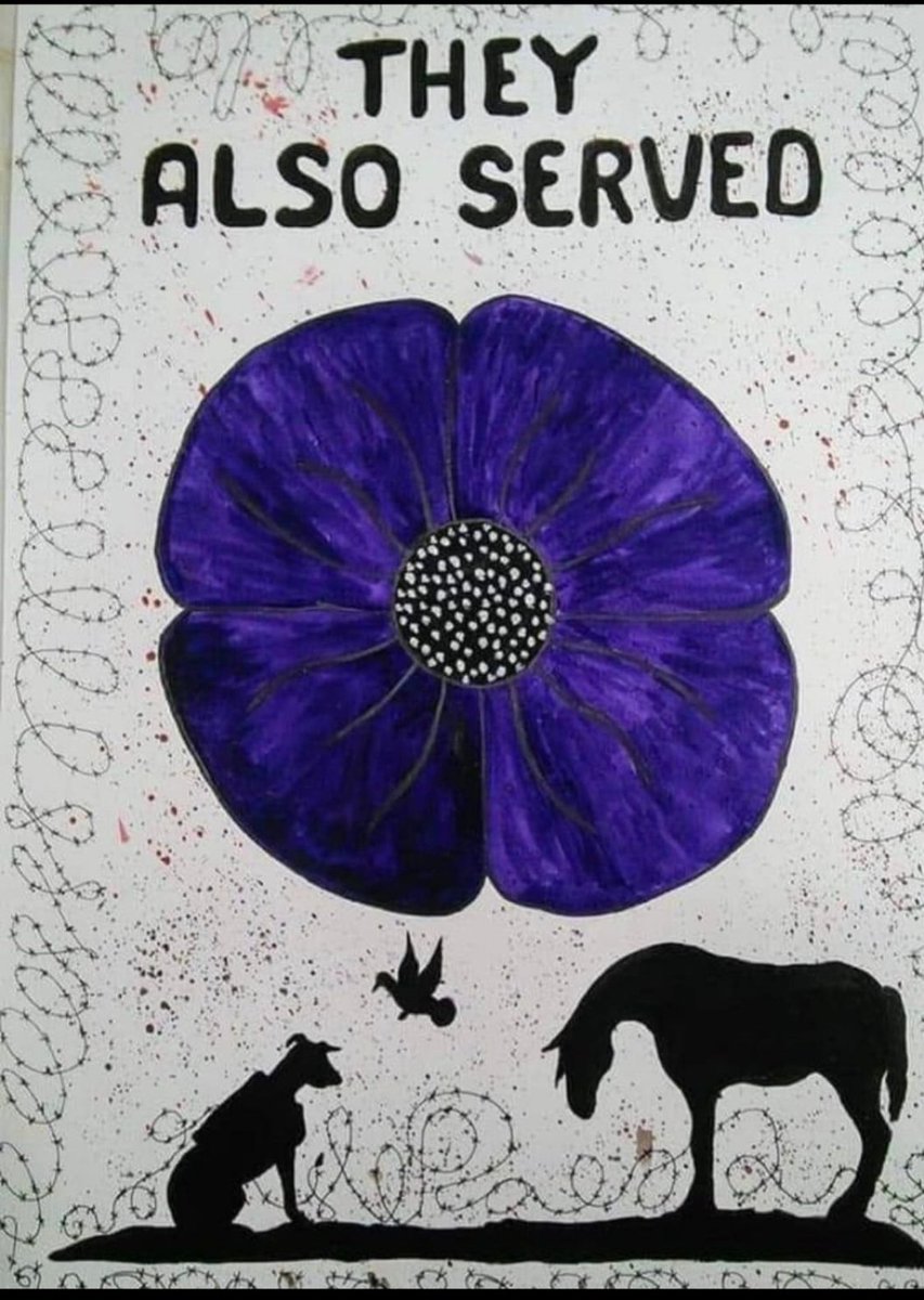 The purple poppy is a symbol of remembrance for the animals that served or died in war. Our freedoms were saved by all creatures great and small. Lest we forget.