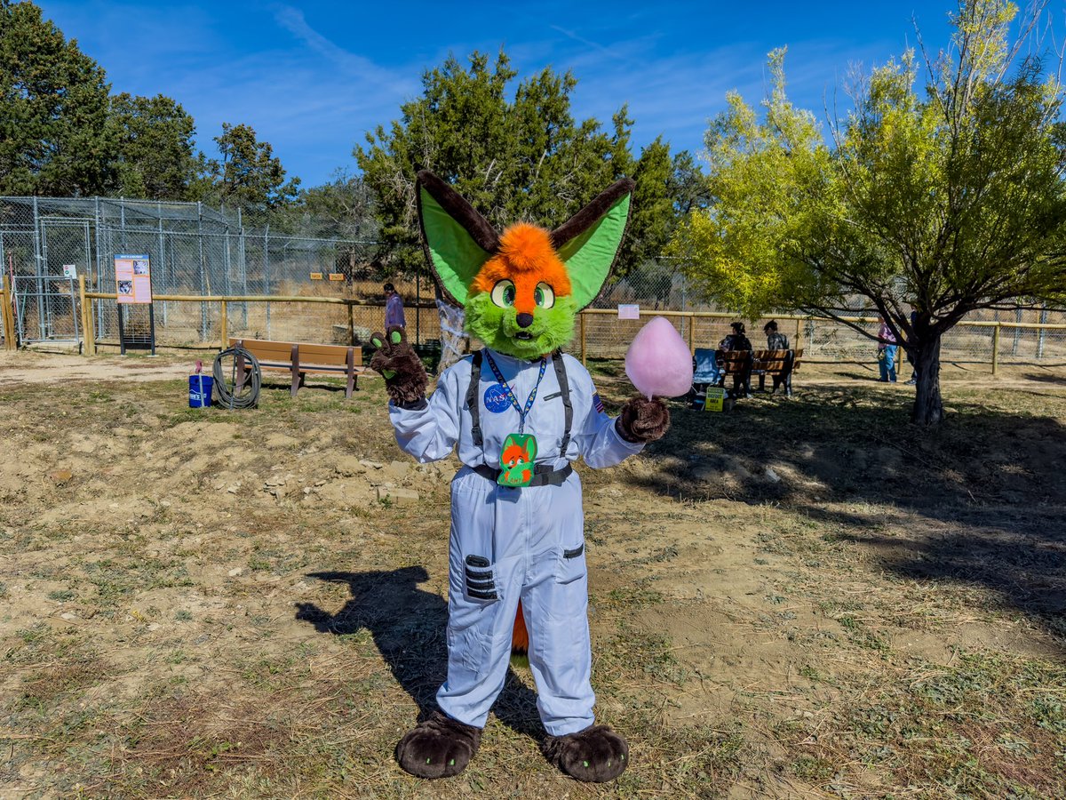 Calamity Fox tweet media