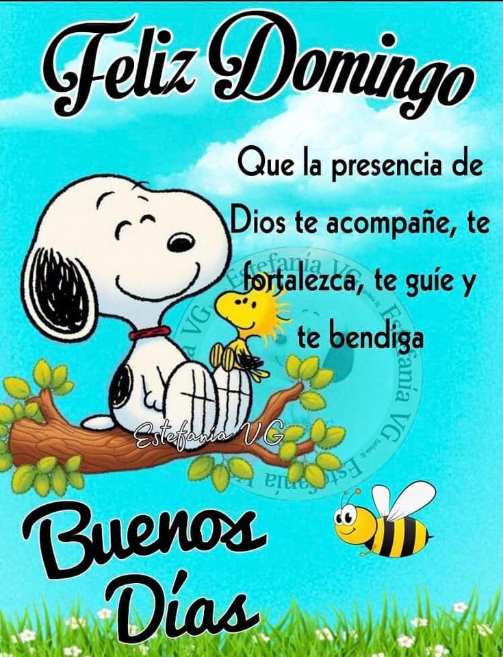 Ma de la luz García (@madelaluzgarca3) on Twitter photo 
