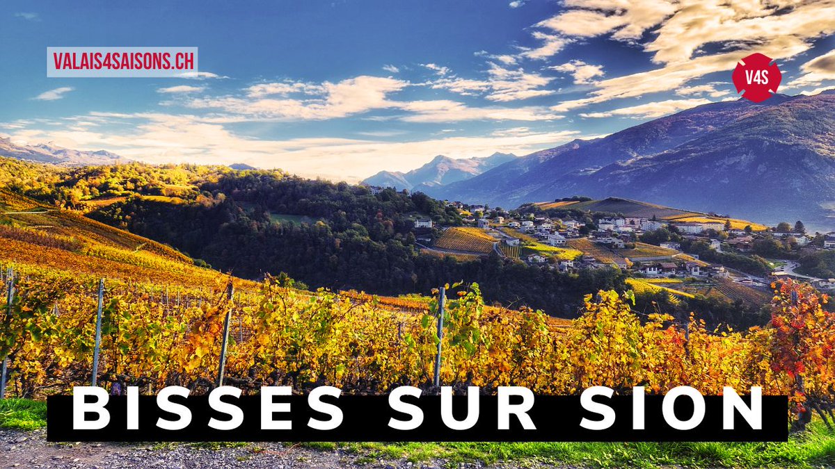 valais4saisons's tweet photo. Discover the magic of the Swiss Alps in autumn. Join us on a stunning hike through the Bisse de Lentine and Bisse de Clavau. 🍂🥾 #Switzerland #Hiking #Autumn #Bisse #Travel ➽ https://t.co/loxHCDHqFb https://t.co/Cri7QbpStY