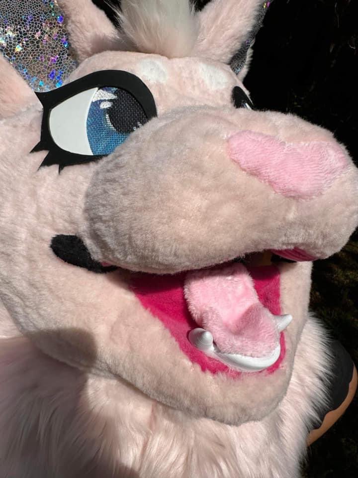 MouseHolo's tweet photo. Available premade! Professionally made and hand sewn with durable thread. Head fits any size with a balaclava inside for comfort. Comes with a tail and replaceable belt . Accepting offers and trades, buy price is $450 with free shipping

#fursuitforsale https://t.co/5Yhdm9ePMR