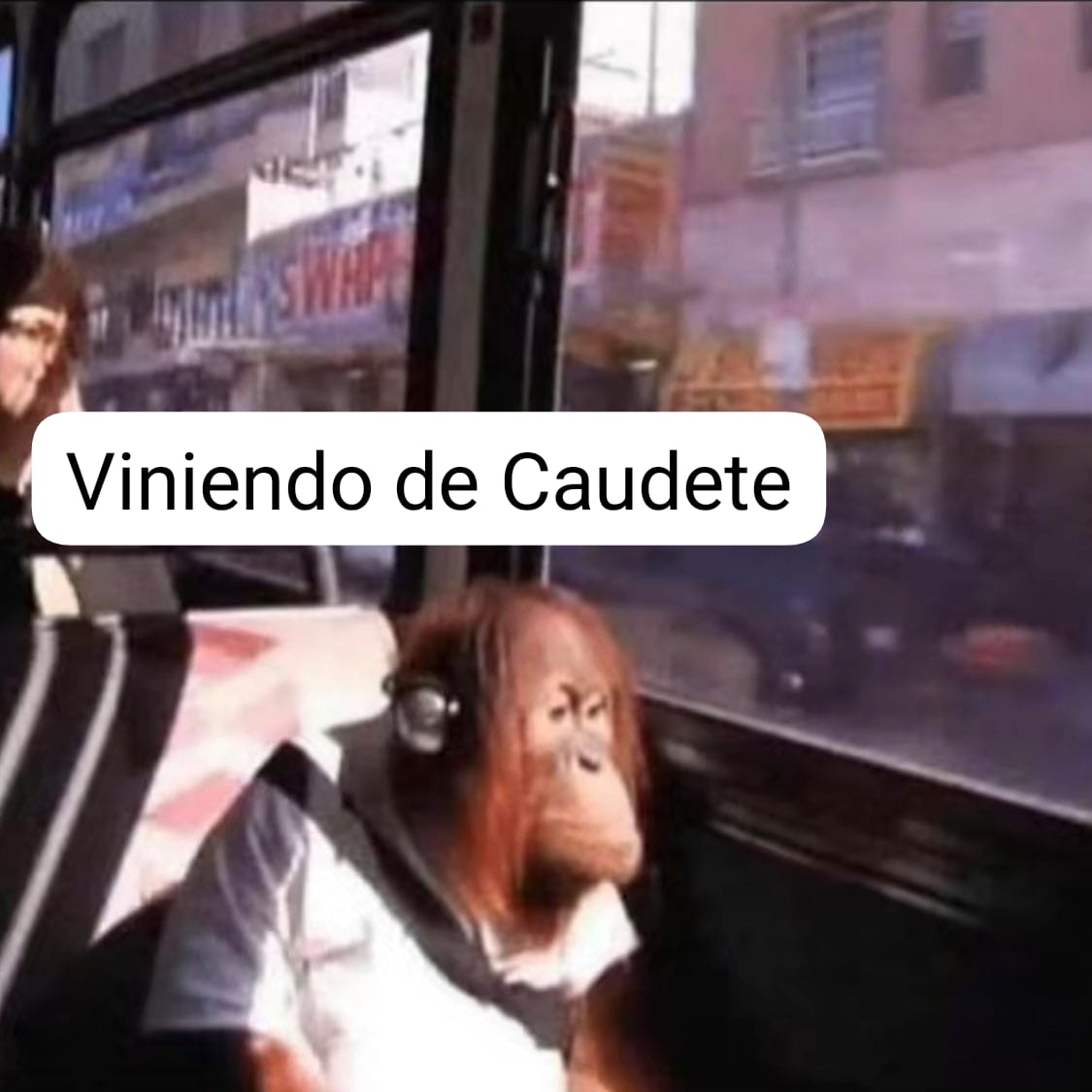 il_nutringo's tweet photo. https://t.co/RHoWO3DFQt