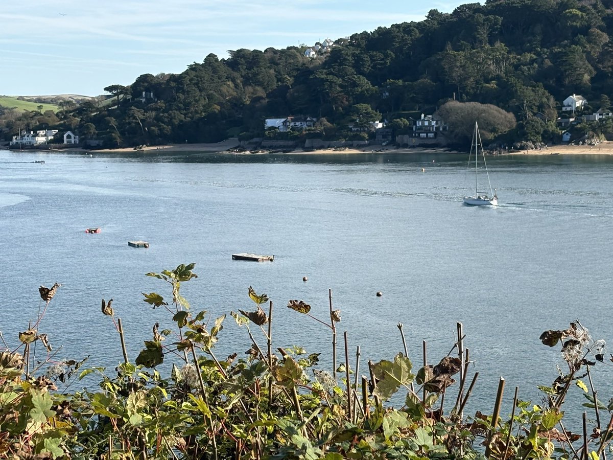 hemmingjon's tweet photo. Lovely Autumn day in Salcombe estuary. https://t.co/ANls2w1xRD