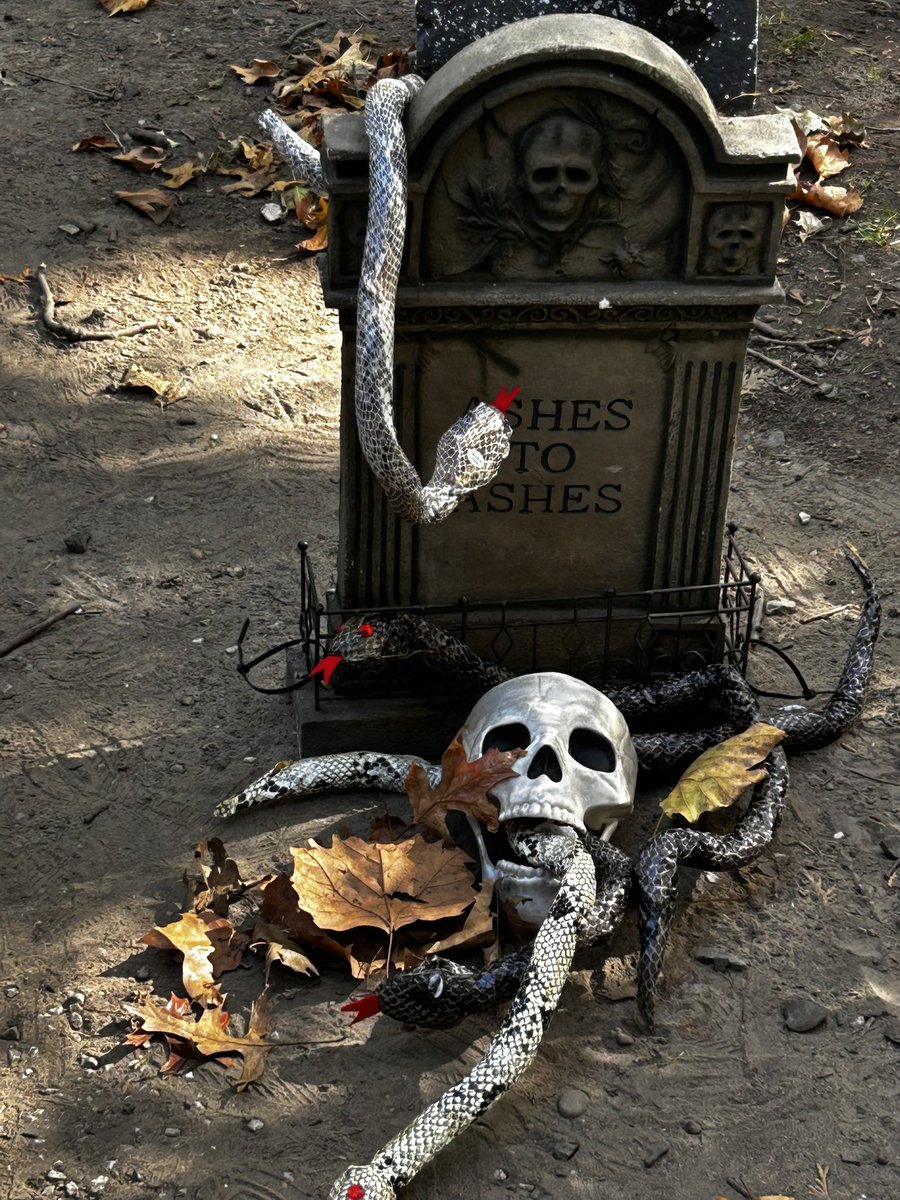 Van Vorst Neighborhood Association tweet media