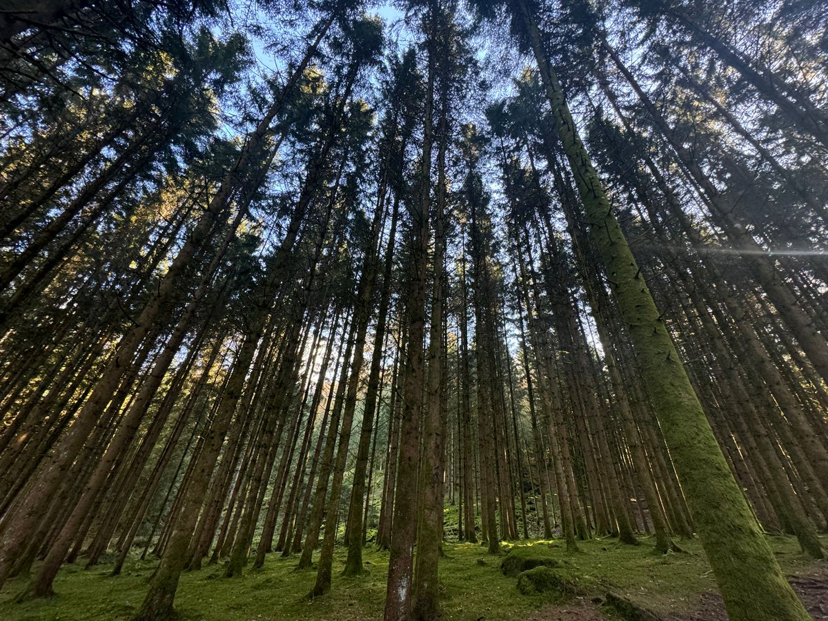 AnneCarli4's tweet photo. #lavieenVosges https://t.co/taz0Goe7Zc