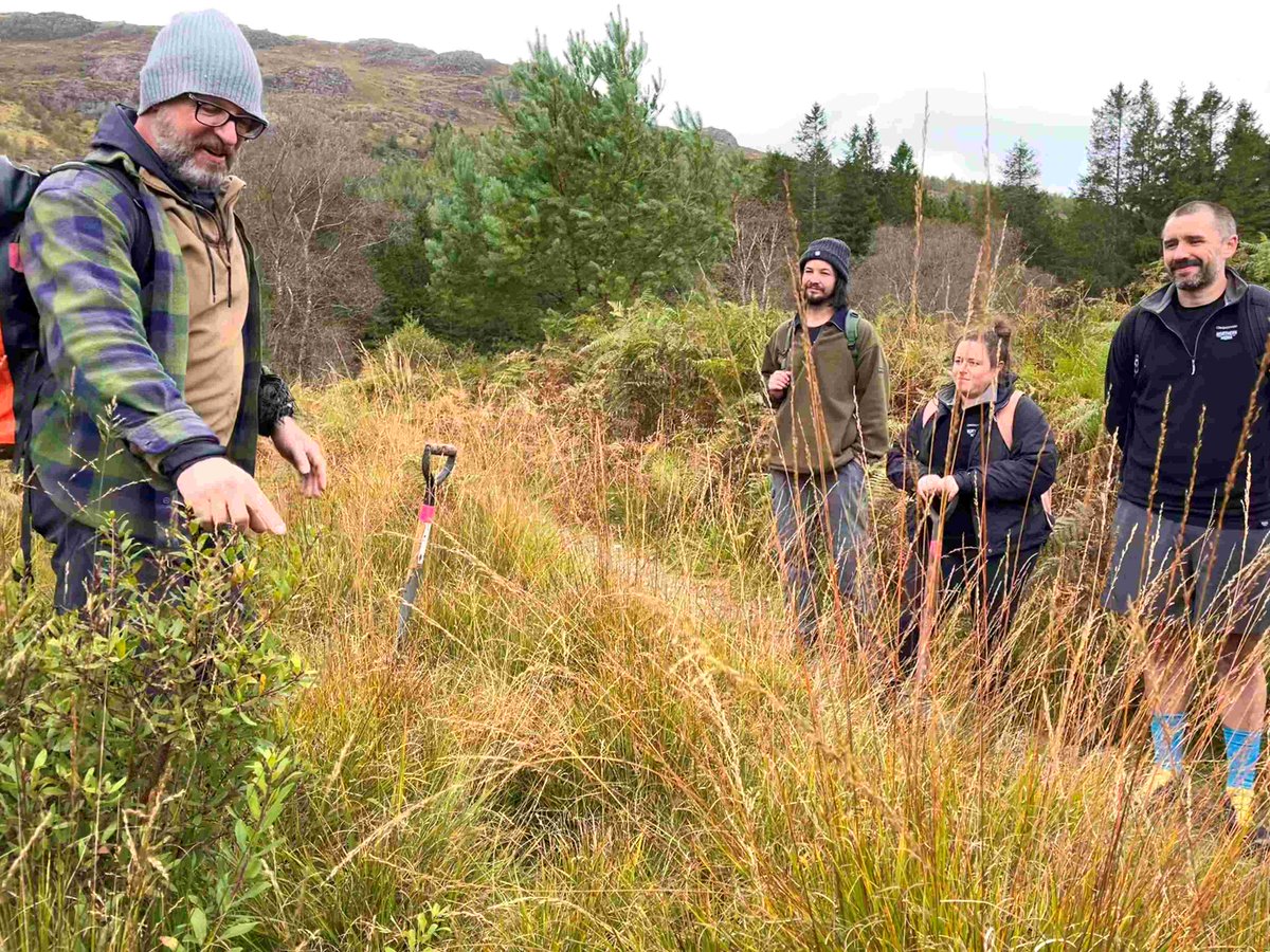 Restoring Hardknott Forest tweet media