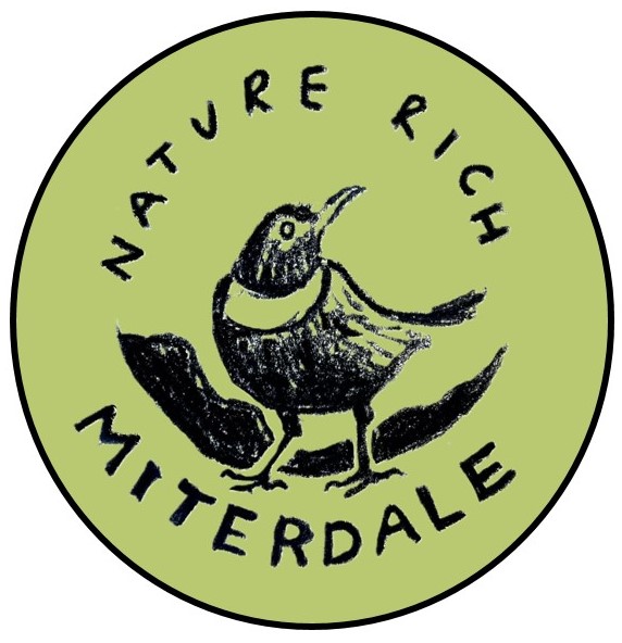 Restoring Hardknott Forest tweet media