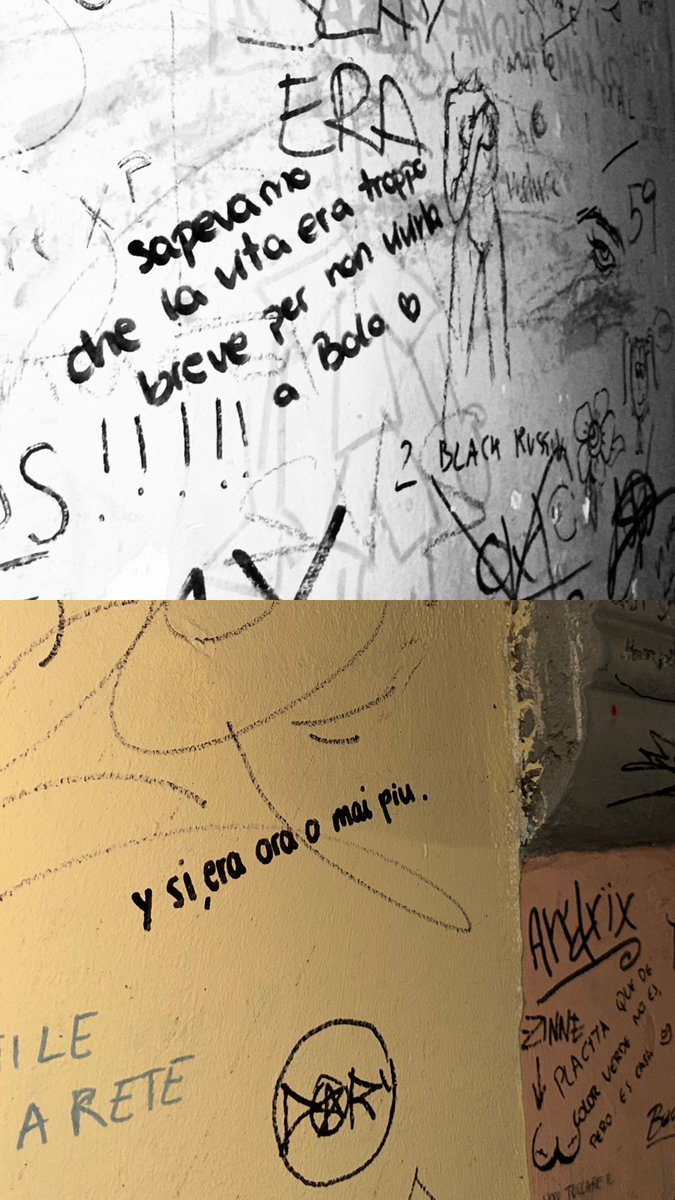 ᴍɪʟᴀ (@_gcim_) on Twitter photo 