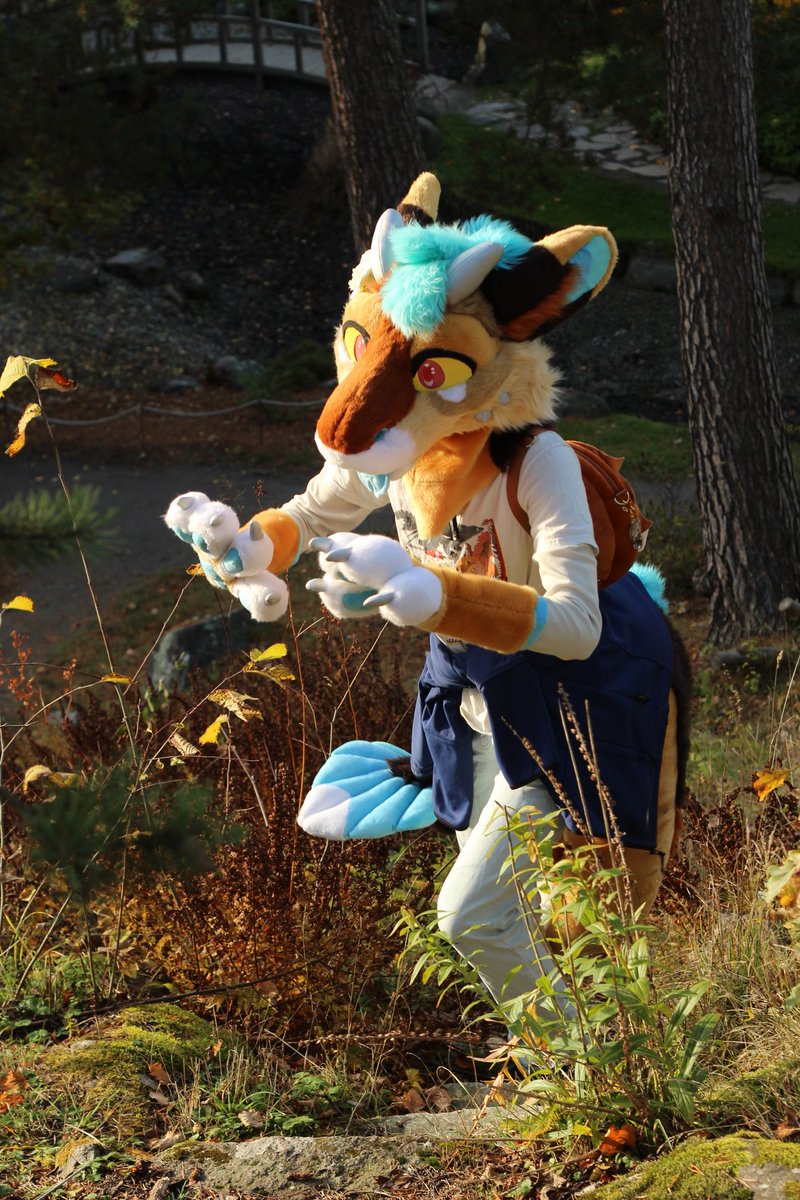 Absolutely ADORE this suit, Was great getting to see it

Featuring <a href="/freshlyt0asted/">Toast 🍞</a> 
Trying to make his way up a hill