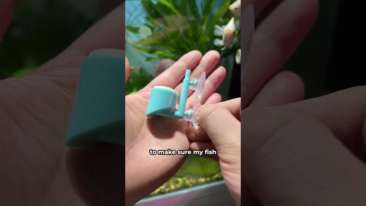 FlakeFood's tweet image. Aquariums: Aquarium Air Diffuser
 
flakefood.com/608401/aquariu…
 
#BriarAgustin #EasyRecipe #HowToCook #HowToMake #NoBakingPowder #NoOven