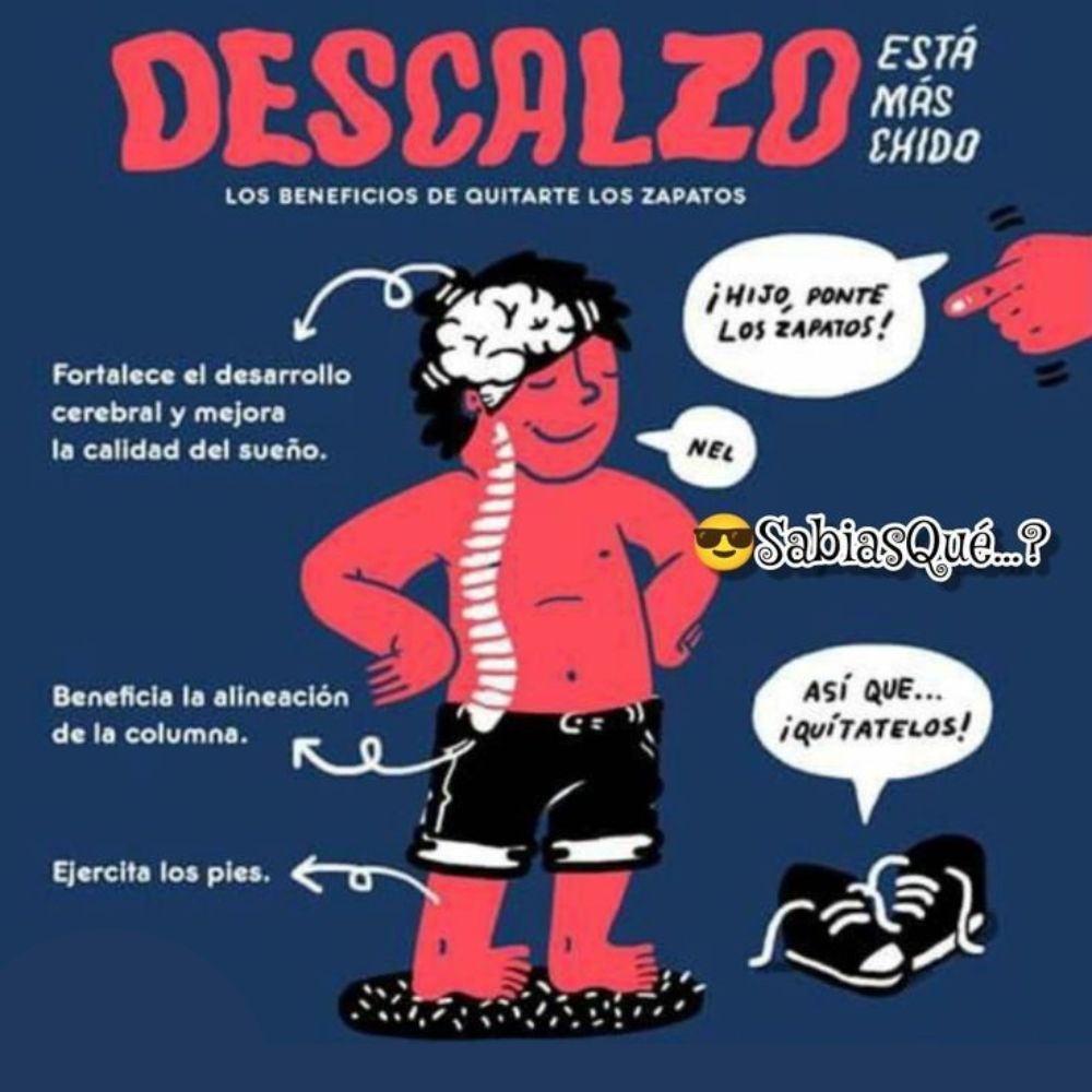 Enséñame de Ciencia tweet media