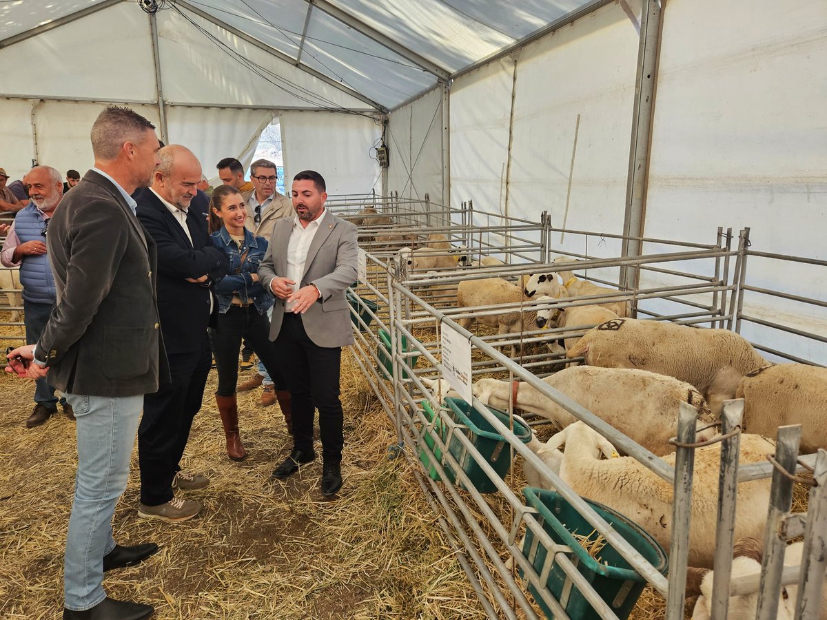 AytodeCaravaca's tweet photo. 🐑 Feria del Cordero Segureño y la Ganadería Extensiva de #Archivel 

Este fin de semana se ha celebrado la octava edición de este evento, con el que se pone en valor la raza autóctona segureña y la importante función social, económica y medioambiental la ganadería tradicional. https://t.co/sKYOc1vVcJ