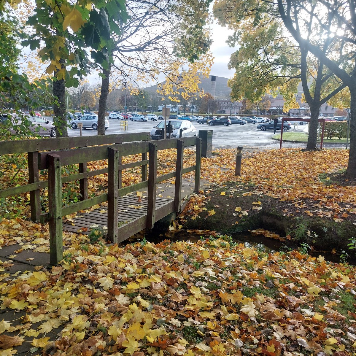 Katherine Paul tweet media