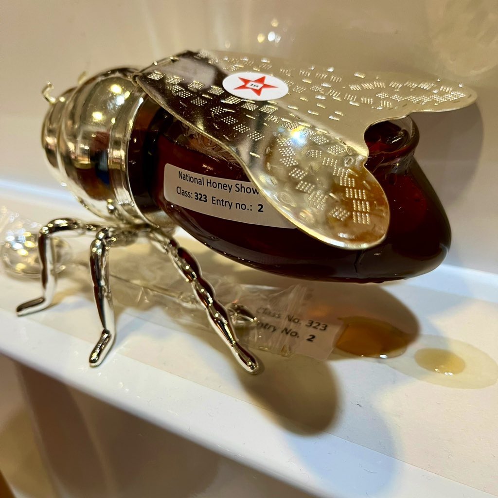 Apis bee consultancy tweet media