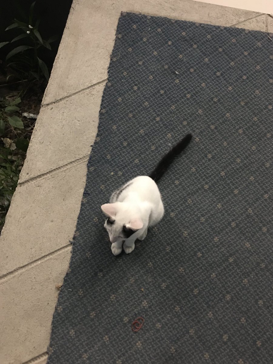 อ้วนจิ๋ว