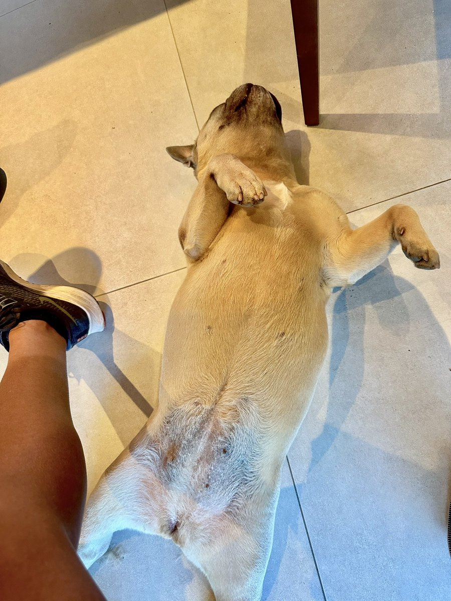 GM

Happy Saturday 🐕🫶🏻

🏴‍☠️🫡 This time it’s Memes, but my heart ❤️ is #BAYC and #MAYC <a href="/BoredApeYC/">Bored Ape Yacht Club 🍌</a> 
The necessary it’s to find the gold in the end.

Do not fade it… <a href="/Memeland/">Memeland ❤️ Memecoin</a>