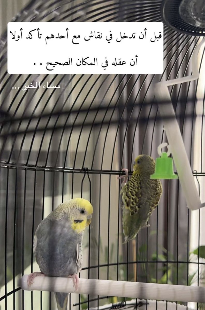 نهى العقيـّل (@o_noha) on Twitter photo 