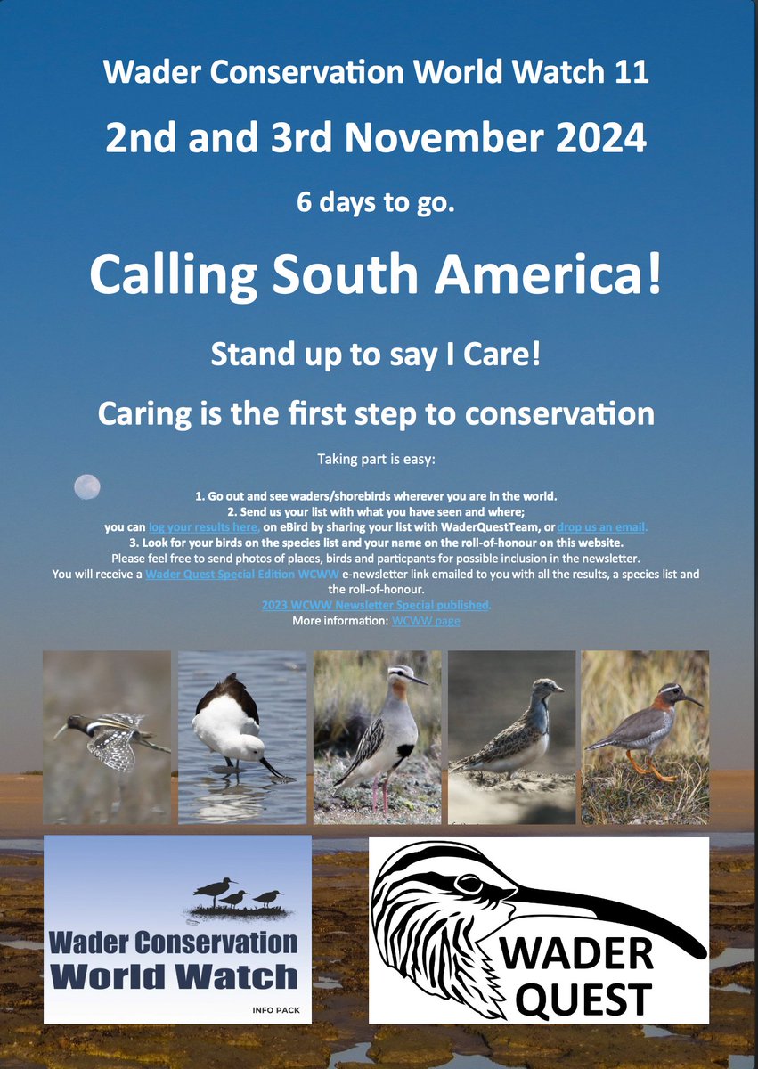 Wader Conservation World Watch
Show your support for wader conservation; stand up &amp; say 'I Care!'
Caring is the first step to conservation.

Just go birding! How to send us your list can be found here.
waderquest.net/events/wader-c…

#inspired by #waders / #shorebirds
#WCWW24 #WCWW