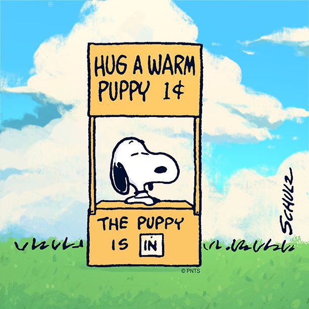 Daily Snoopy (@dailysnoopys) on Twitter photo 