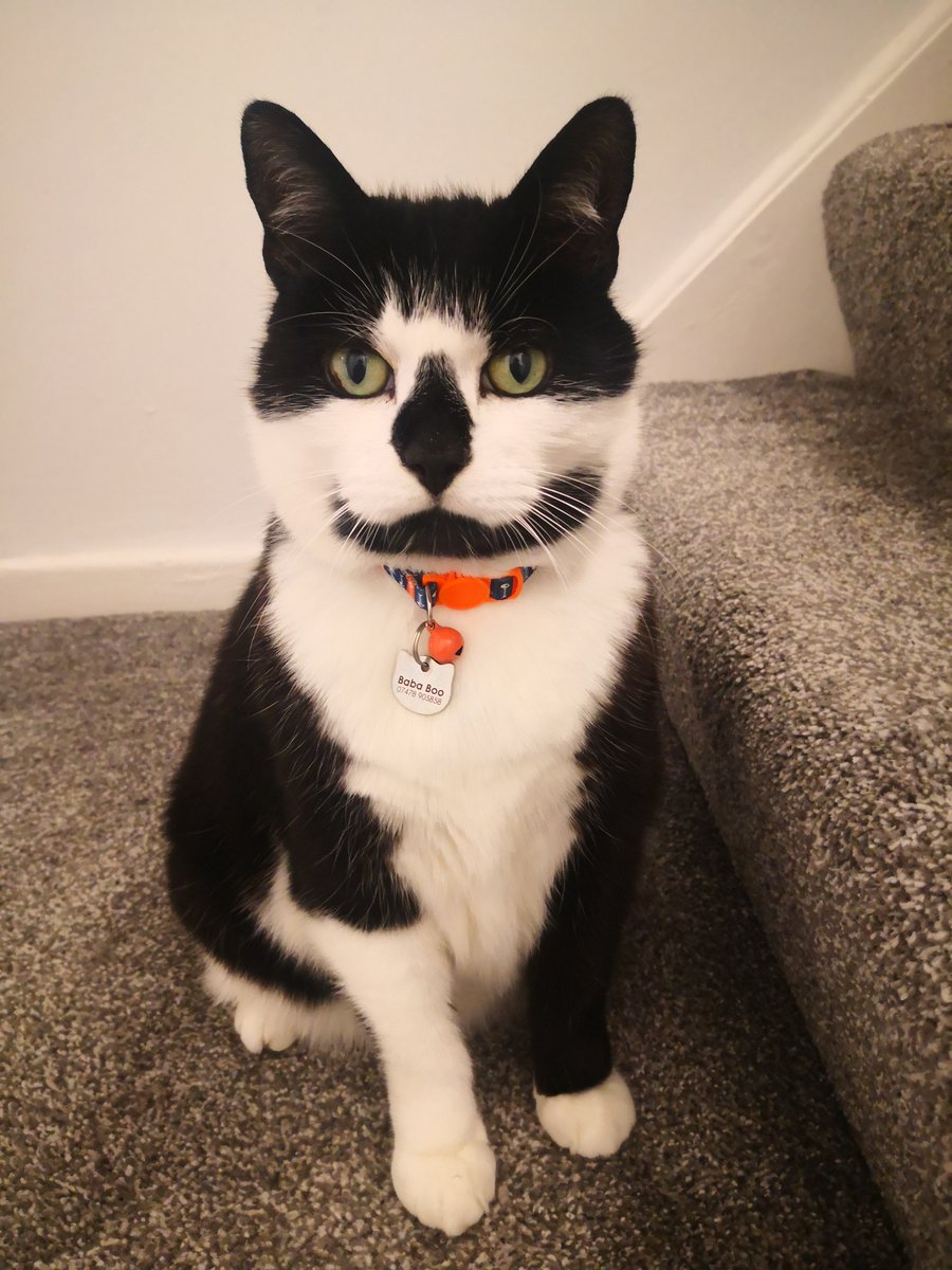 Baba, Nalu & Sanji tweet media