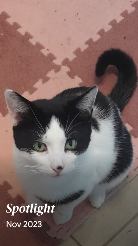 Baba, Nalu & Sanji tweet media