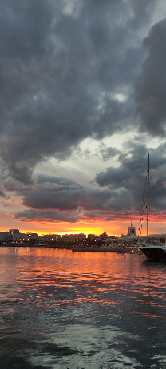 Toda la tarde viendo mi color favorito 🧡