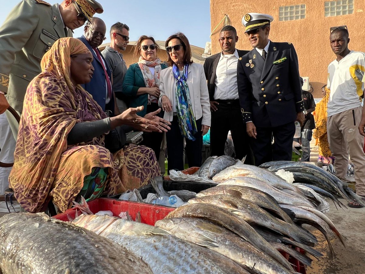 Ministerio Defensa tweet media