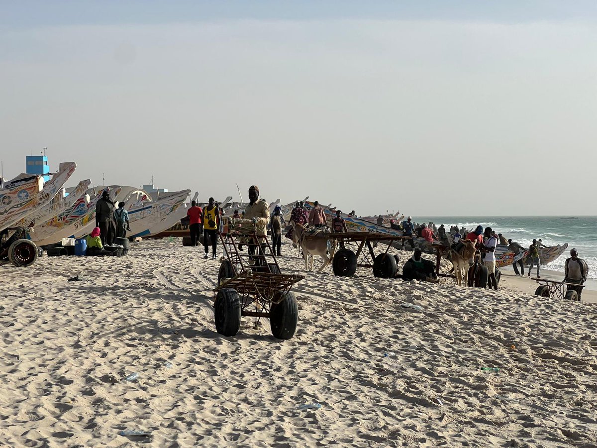 Ministerio Defensa tweet media