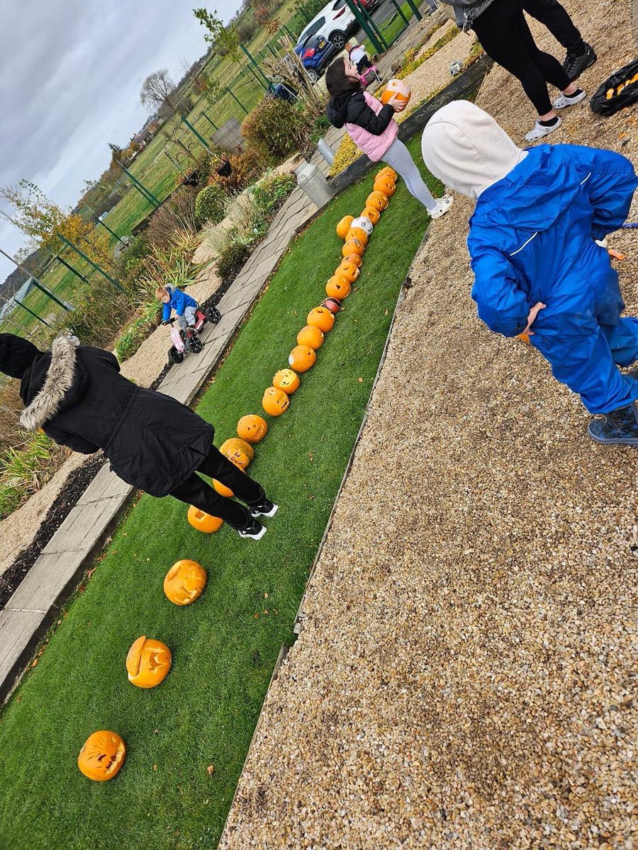 Margo Crolley tweet media