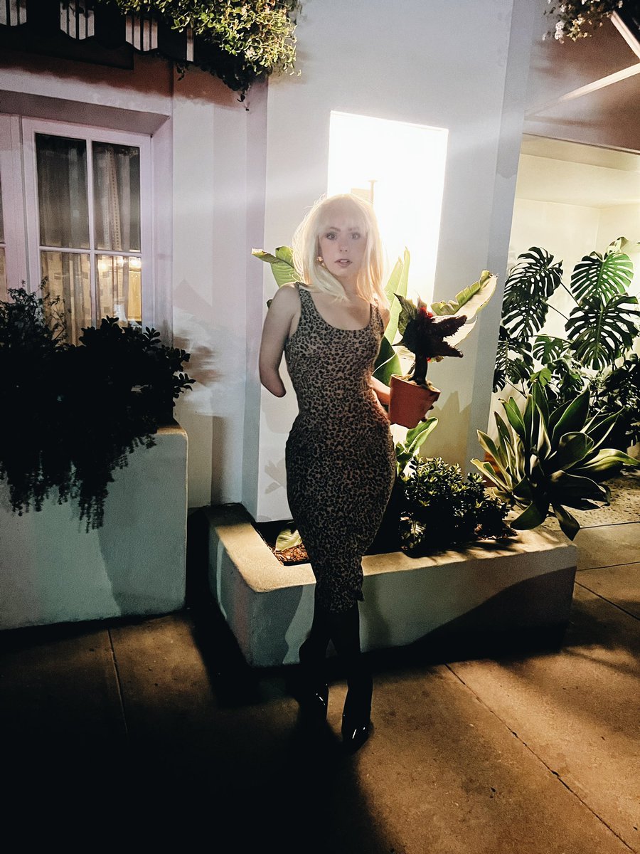 Kiersten Kelly tweet media