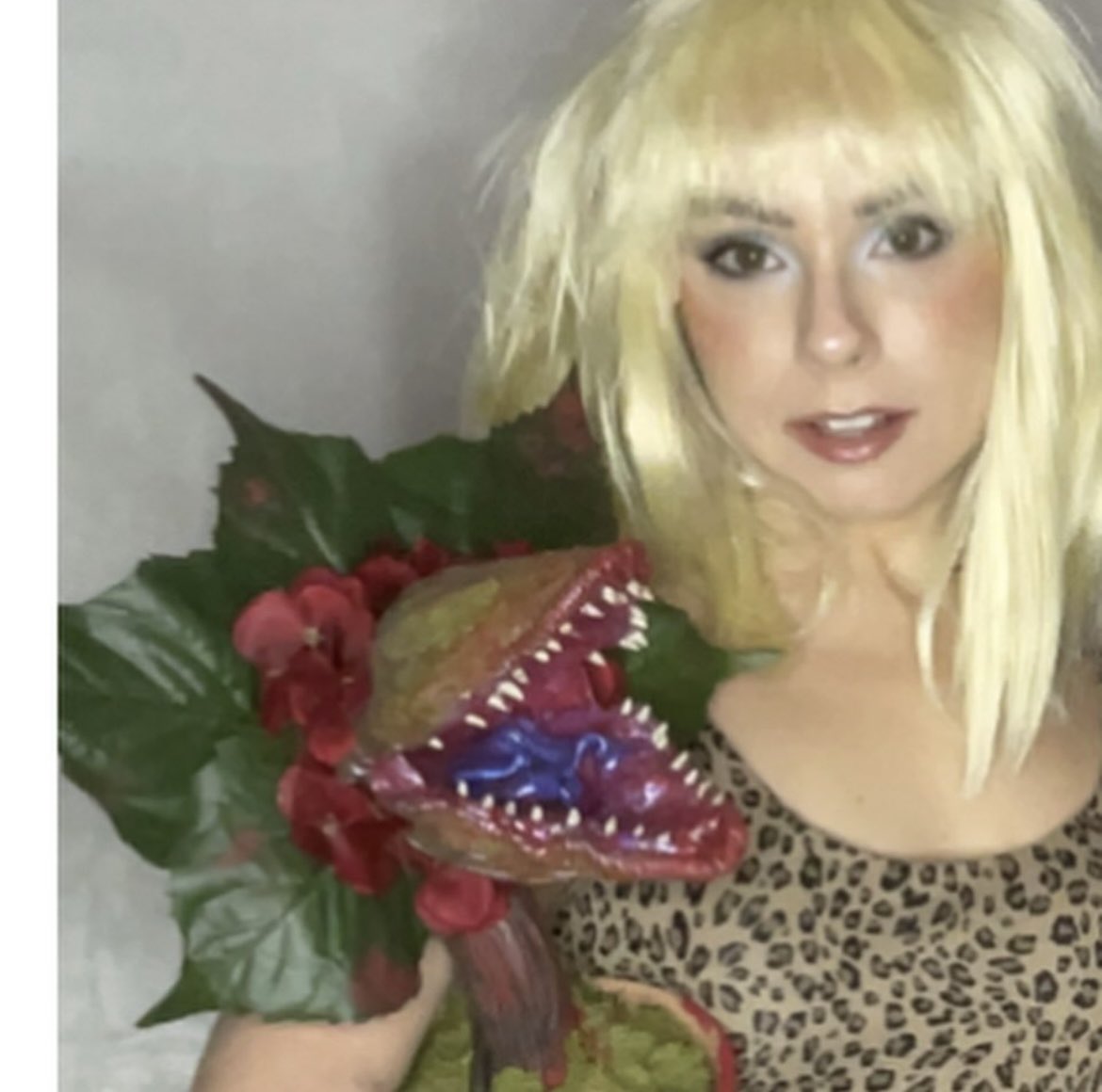 Kiersten Kelly tweet media